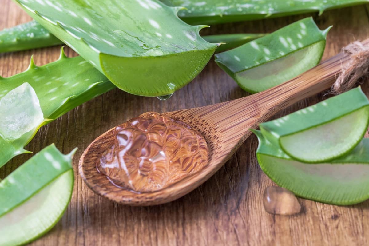 Przeciwutleniacze z natury: jak chronić ciało przed starzeniem? AloeVera