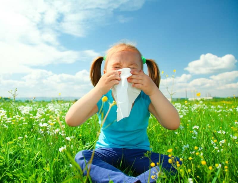 Wiosenna alergia - jak ją zwalczyć? | HerbaBlog