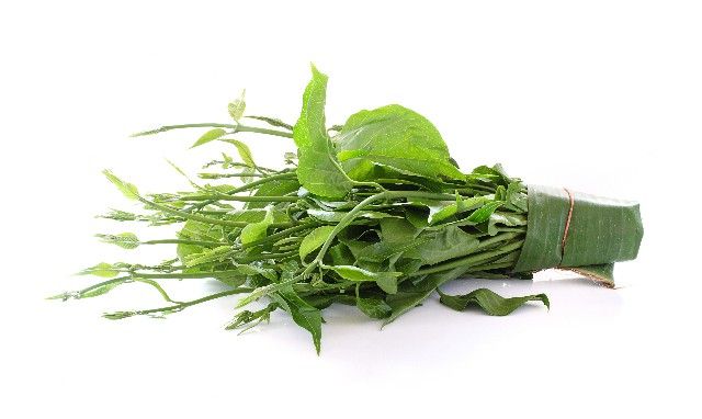 Gurmar zioło - GlukoVita roślinne kapsułki