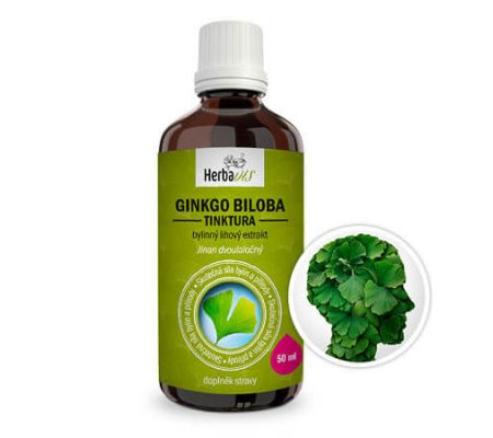 Ginkgo biloba - nalewka