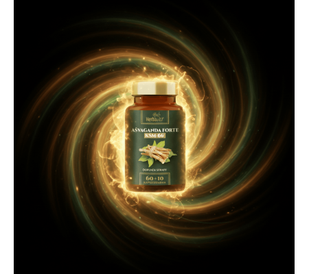 Ashwagandha FORTE  KSM-66®