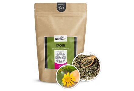 Yacon (Jakon)