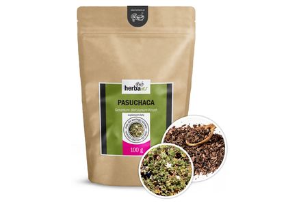Pasuchaca