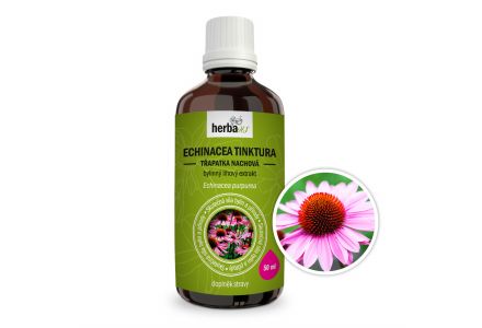 Echinacea (Jeżówka)