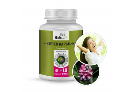 Kudzu kapsułki
