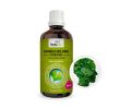 Ginkgo biloba - nalewka