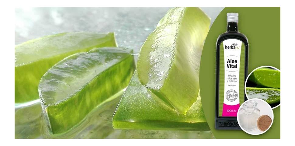 aloe vera for greasy hair Aloe Vera Gel for Skin & Hair main image 0